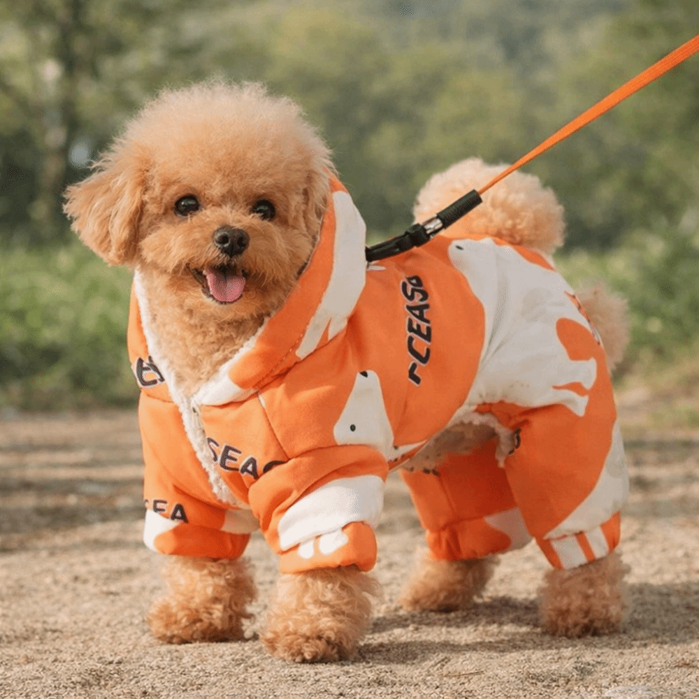 Winter Clothing Line - Cute Warm Dog Winter Clothes Anti-Shedding