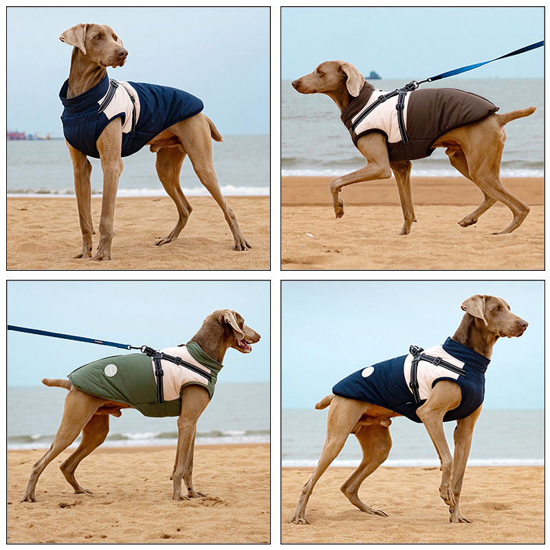 Warm Dog Vest With Built-in Ha - огляд і ціна Winter Clothing Line