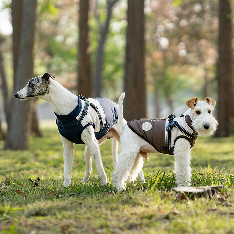 Warm Dog Vest With Built-in Ha - огляд і ціна Winter Clothing Line