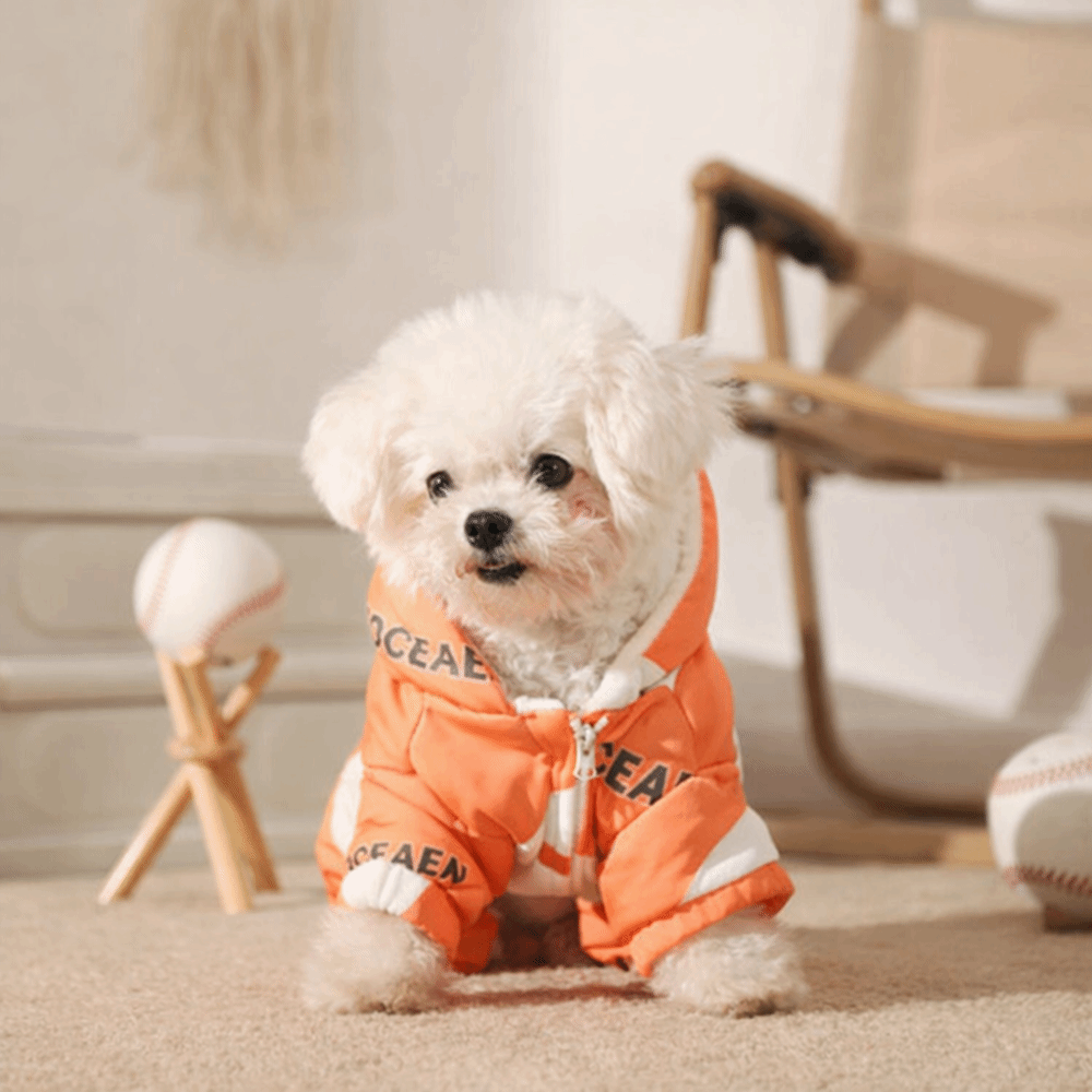 Cute Warm Dog Winter Clothes A - огляд і ціна Winter Clothing Line