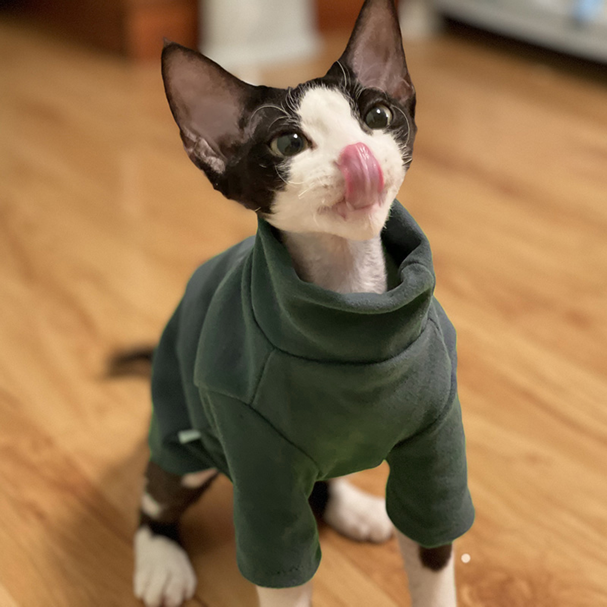 Sphynx Cat Clothes Baby Soft C - огляд і ціна Winter Clothing For Toddlers