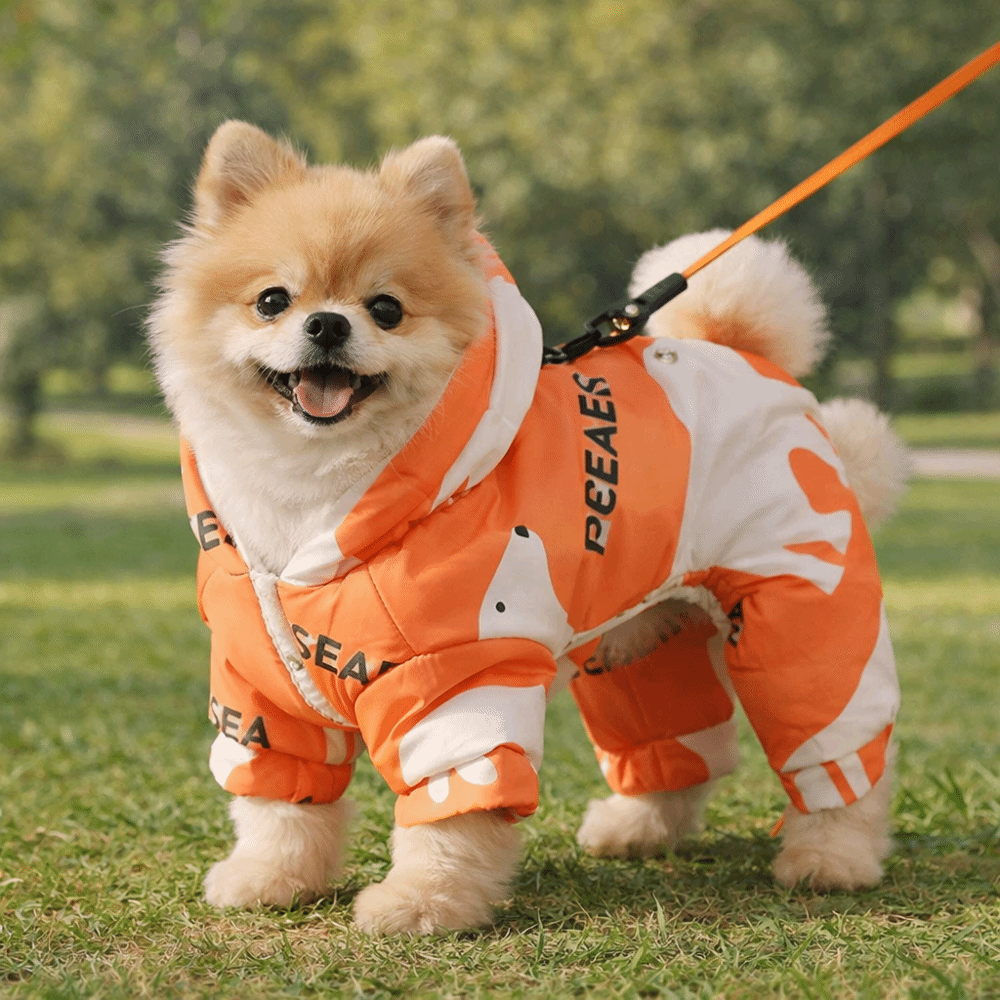 Cute Warm Dog Winter Clothes A - огляд і ціна Winter Clothing Line